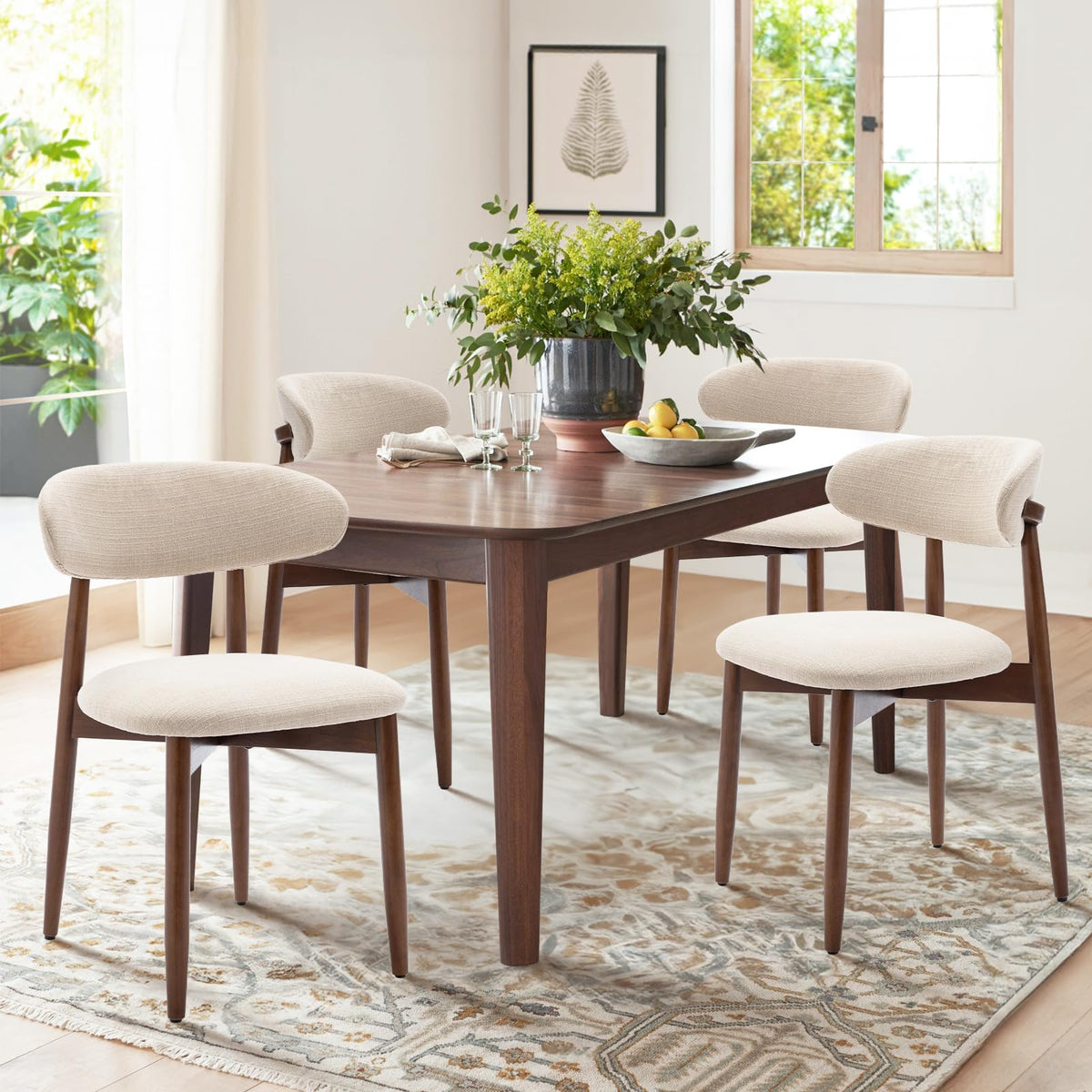 Dining Chairs